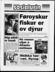 Síða 1