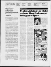 Síða 2