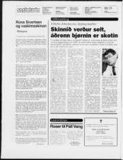 Síða 2