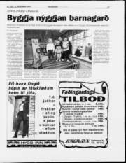 Síða 17