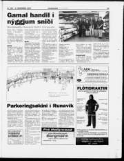 Síða 23