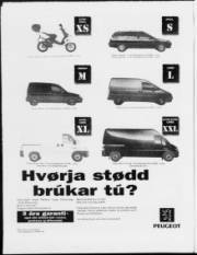 Síða 10