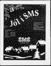 Síða 11