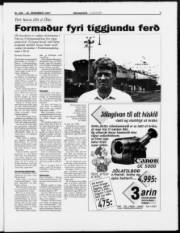 Síða 3