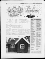 Síða 24