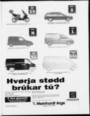 Síða 23