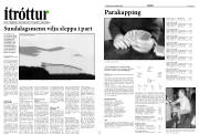 Síða 16