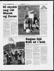 Síða 23