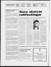 Síða 2