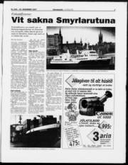 Síða 3