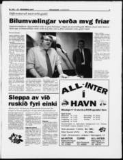 Síða 3