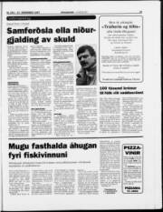 Síða 19