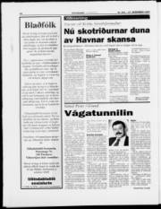 Síða 20