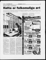Síða 5