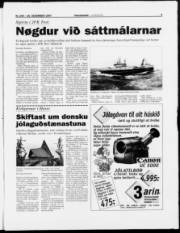 Síða 3