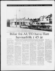 Síða 56