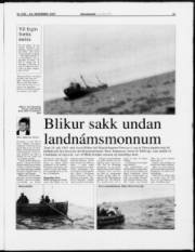 Síða 11