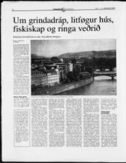Síða 13