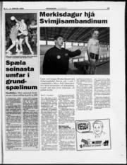 Síða 22