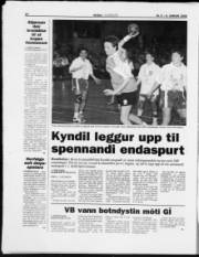 Síða 15