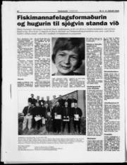 Síða 17