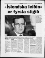 Síða 8