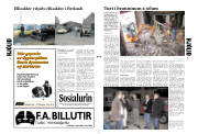 Síða 3