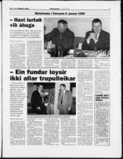 Síða 7