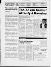 Síða 2
