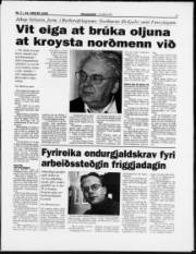 Síða 3