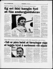 Síða 3
