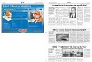 Síða 11