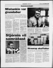 Síða 6
