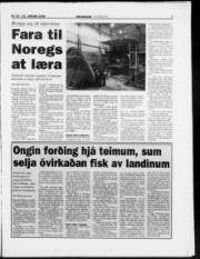 Síða 7