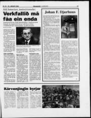 Síða 17