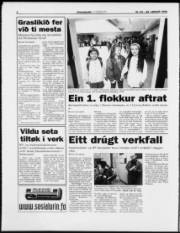 Síða 6