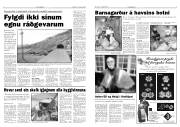Síða 4
