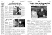 Síða 25