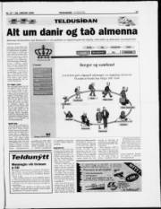 Síða 17
