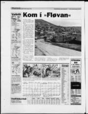 Síða 24