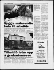 Síða 3