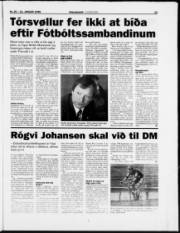 Síða 23