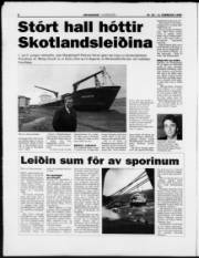 Síða 8
