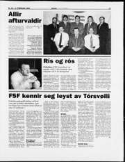 Síða 13