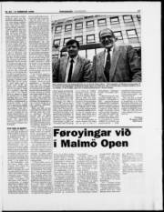 Síða 17