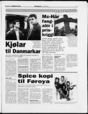 Síða 9