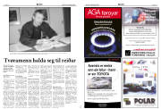Síða 47