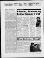 Síða 2