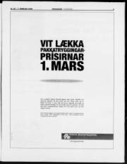 Síða 3