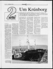 Síða 11